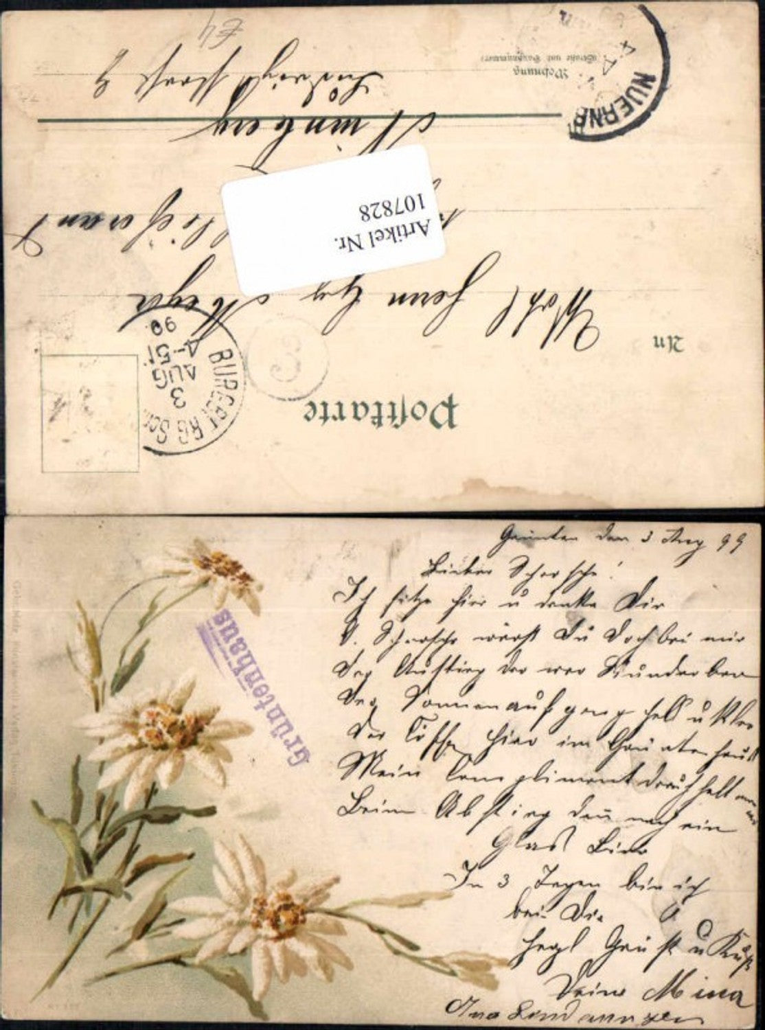 107828, Lithograph Edelweiss Flowers Great Card