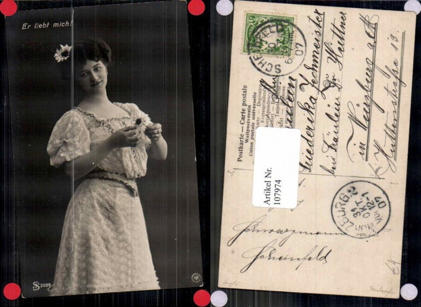 107974,NPG Frau Edwardian Girl zupft Gänseblümchen Kleid