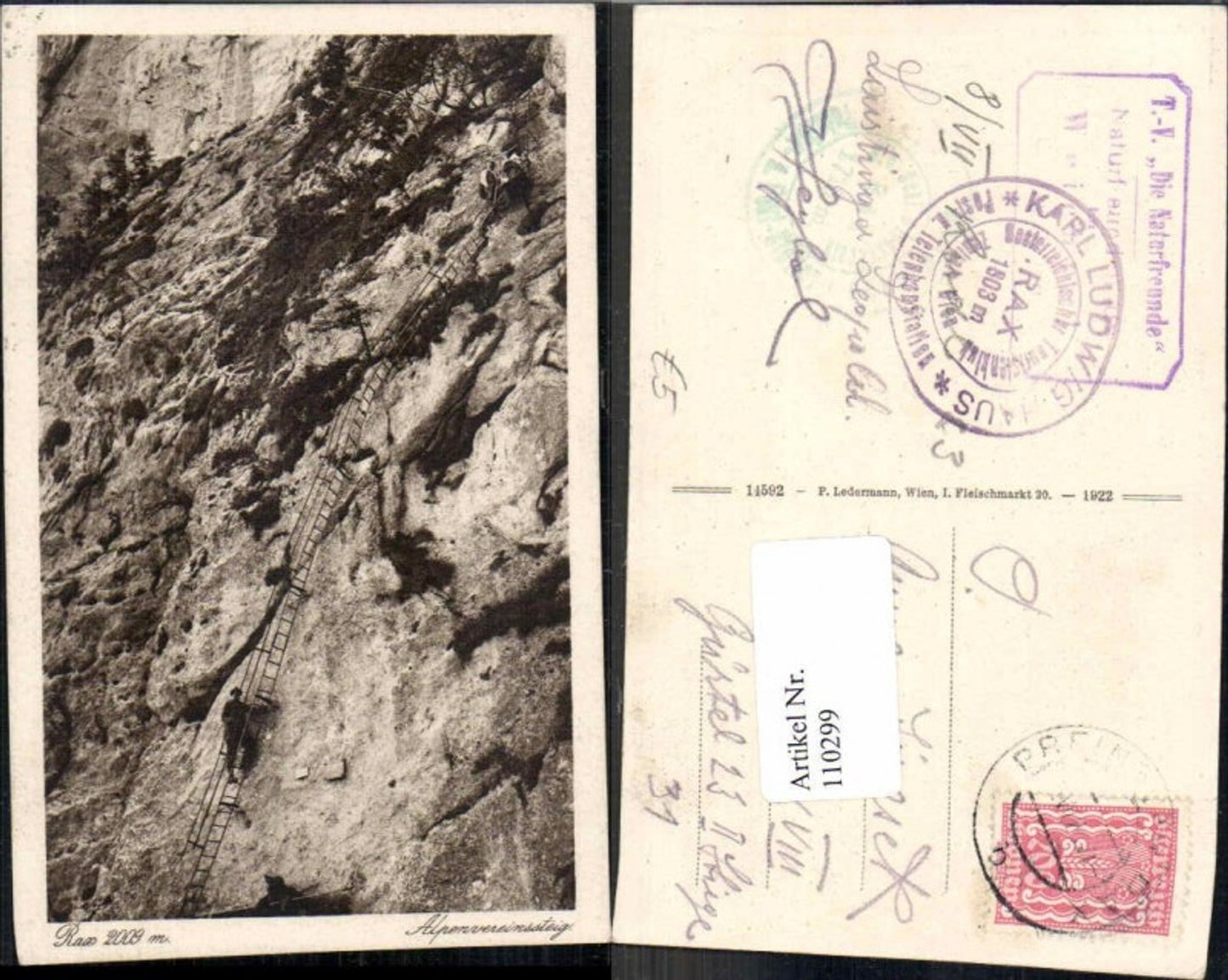 110299,Rax Reichenau Alpenrosensteig Leiter Kletterer Bergsteiger