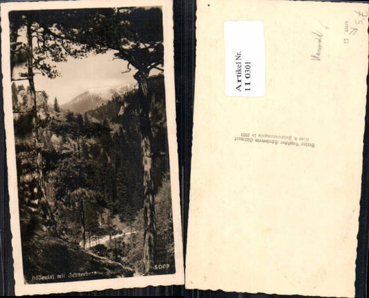 110301,Höllental bei Nasswald m. Schneeberg 1939 pub Verein Südmark