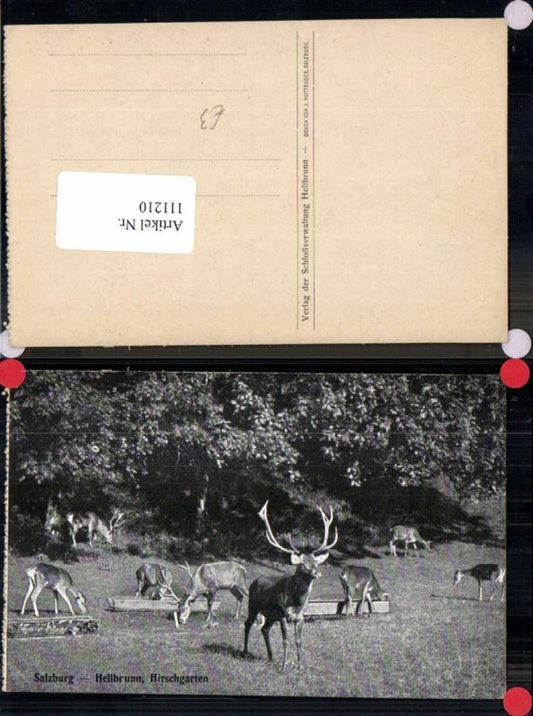 111210,Salzburg Hellbrunn Hirschgarten Tiergarten