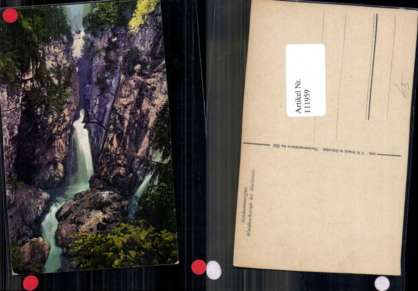 111959,Waldbachstrub bei Hallstatt pub Brandt 350