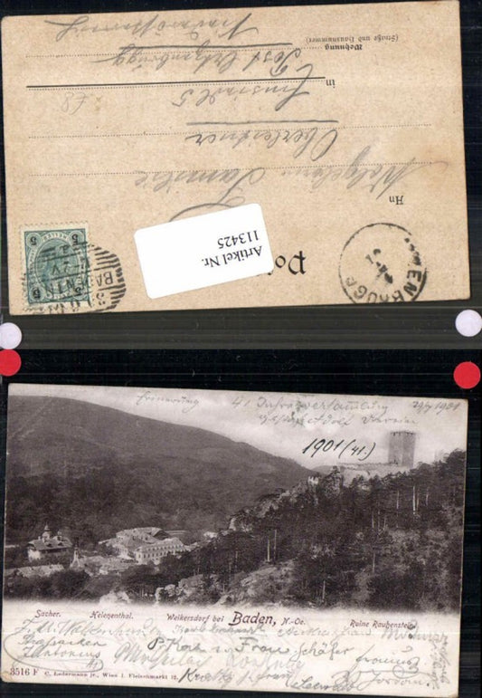 113425,Baden bei Wien Ruine Rauhenstein Weikersdorf Helenenthal sacher Hotel