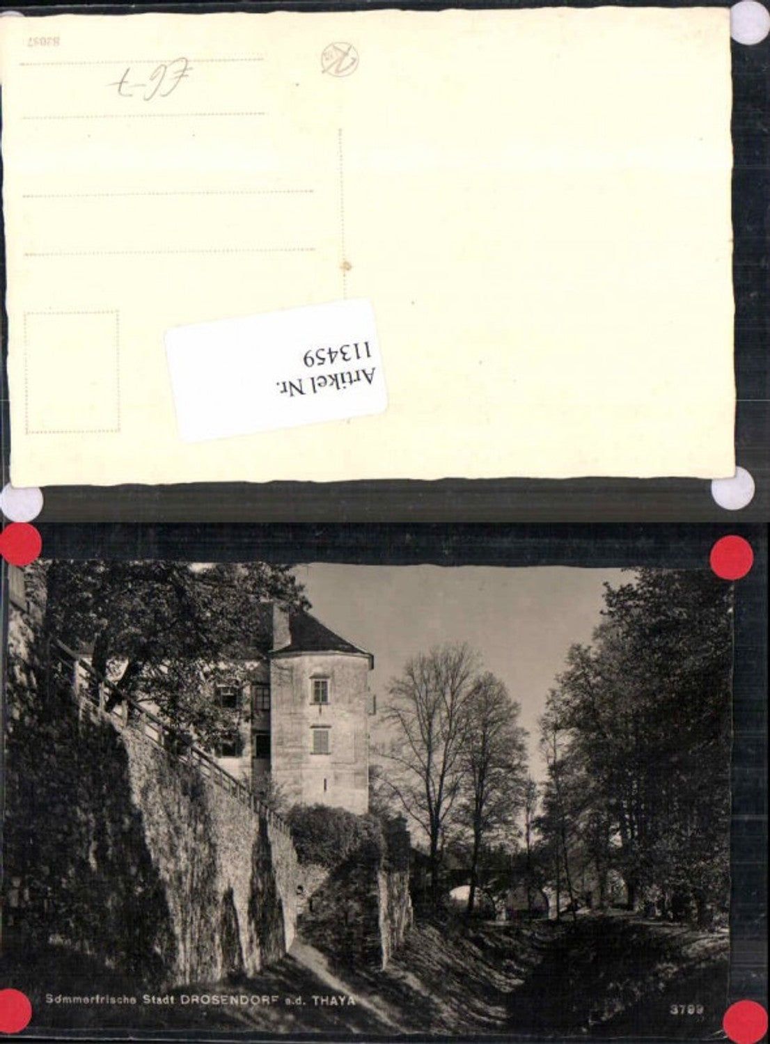 113459,Stadt Drosendorf a.d. Thaya Partie a. Stadtmauer