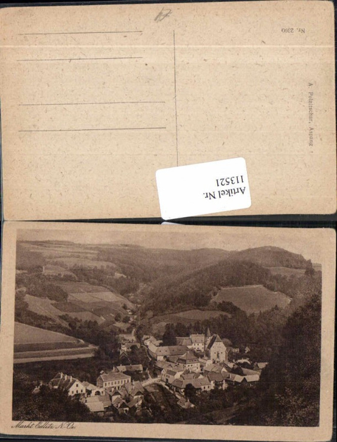 113521,Markt Edlitz Totale 1920