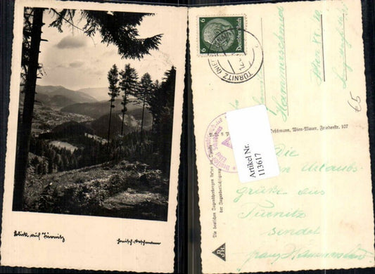 113617,Blick auf Türnitz 1938