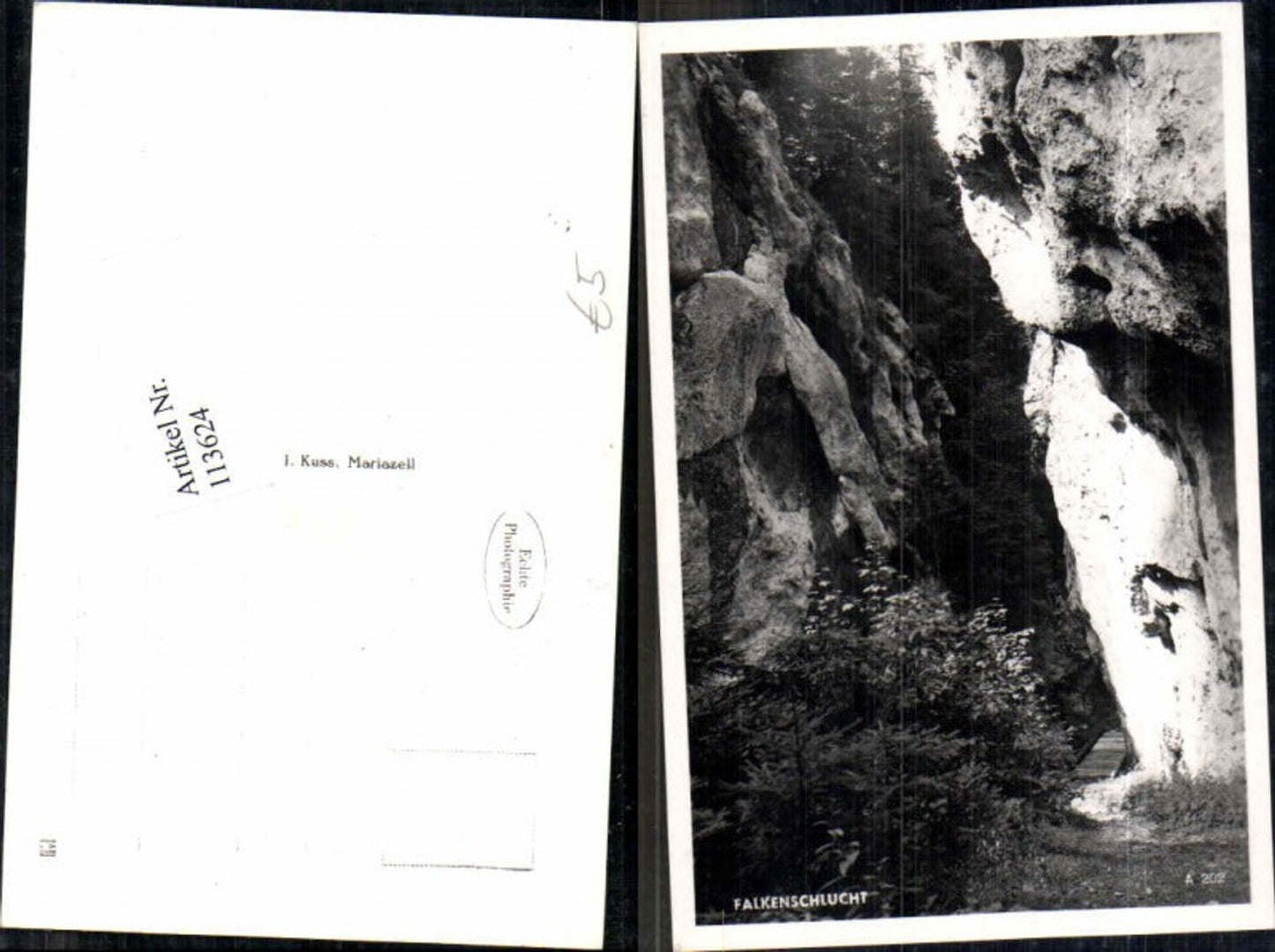 113624,Türnitz Falkenschlucht Partie