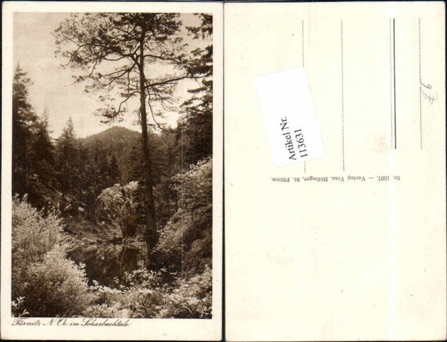 113631,Türnitz im Scharbachtal