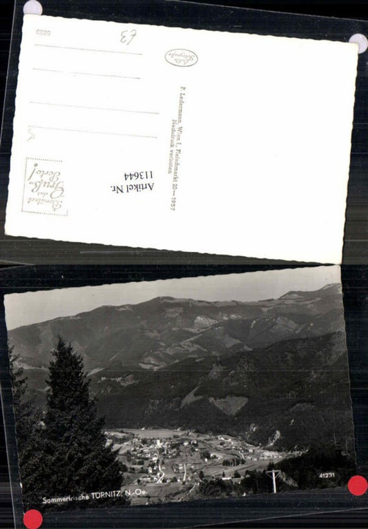 113644,Türnitz  Totale