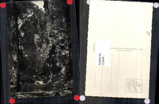 113649,Falkenschlucht bei Türnitz