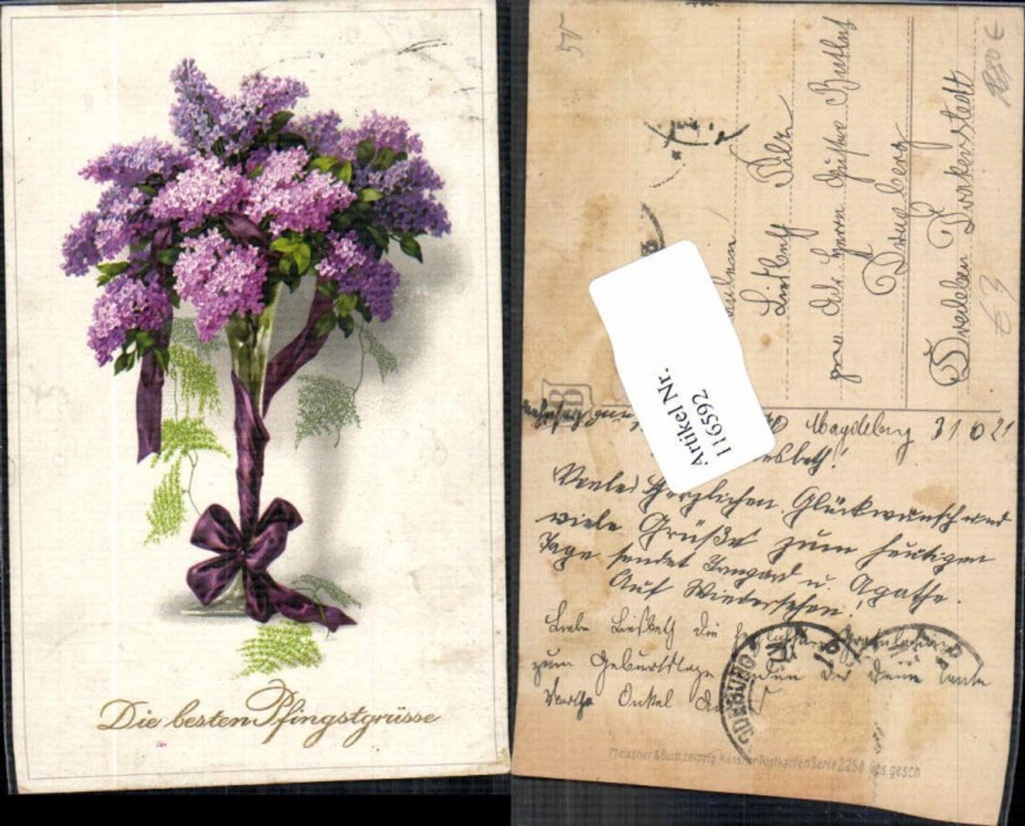 116592, Meissner &amp; Buch 2258 Pentecost Flowers Bush