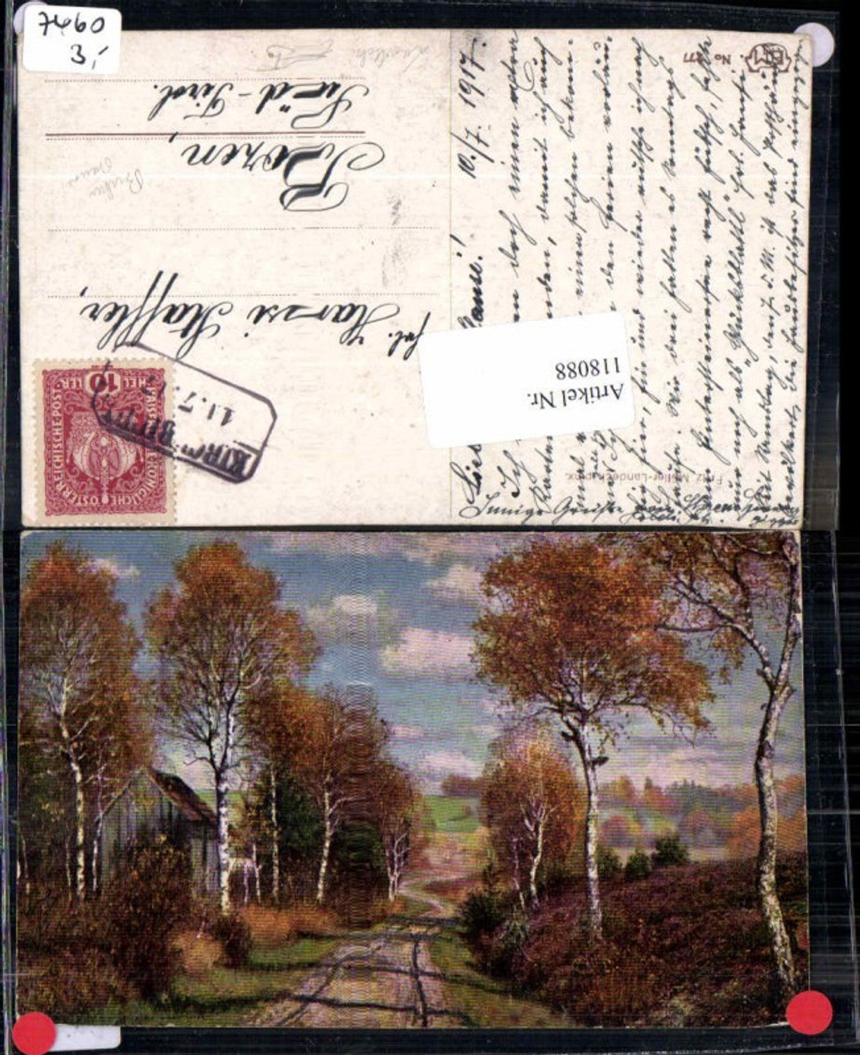118088,Fritz Müller Landeck Birken Bäume Landschaft