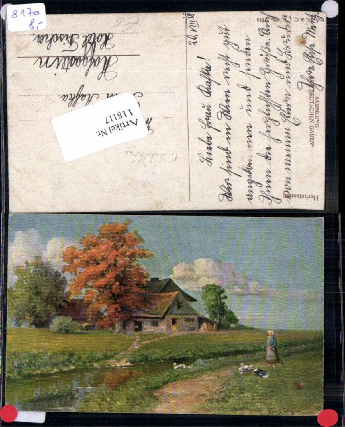 118117,Friedrich Schilling sign. Künstlerkarte Gänse