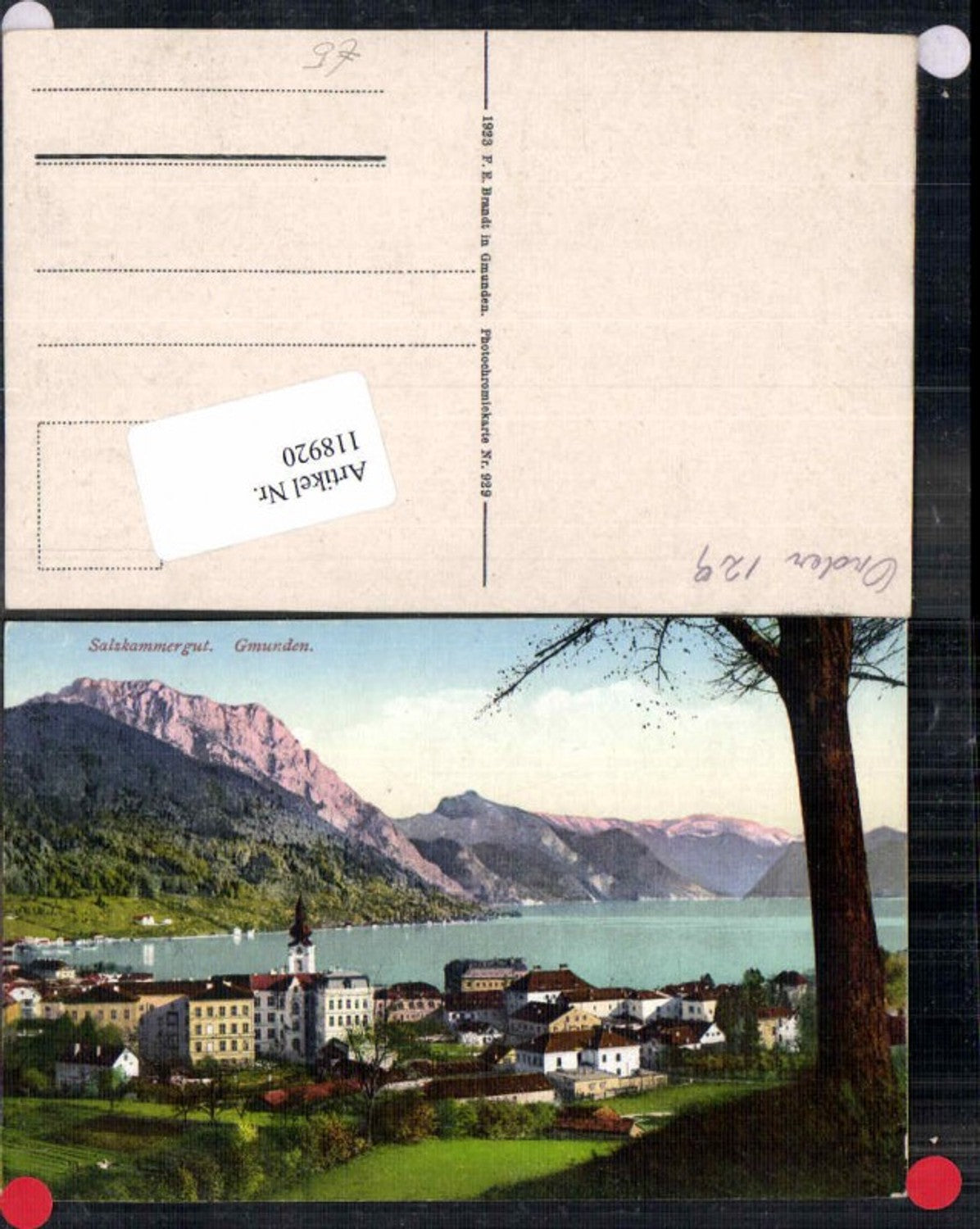 118920,Salzkammergut Gmunden Totale pub Brandt 929