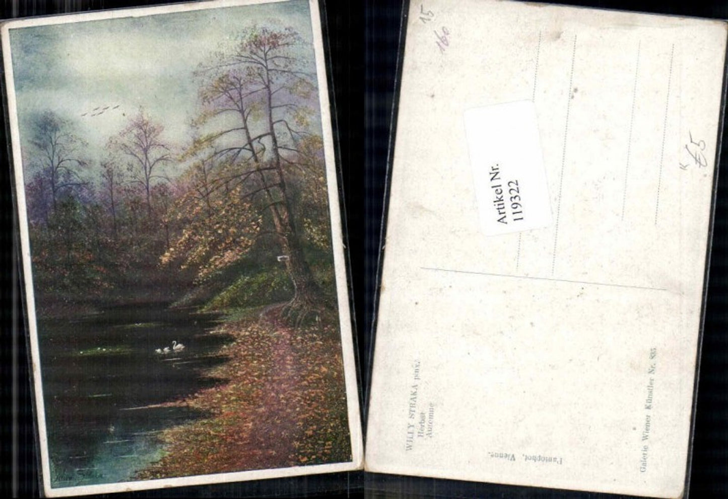119322,Willy Straka Herbst Bäume Baum wald