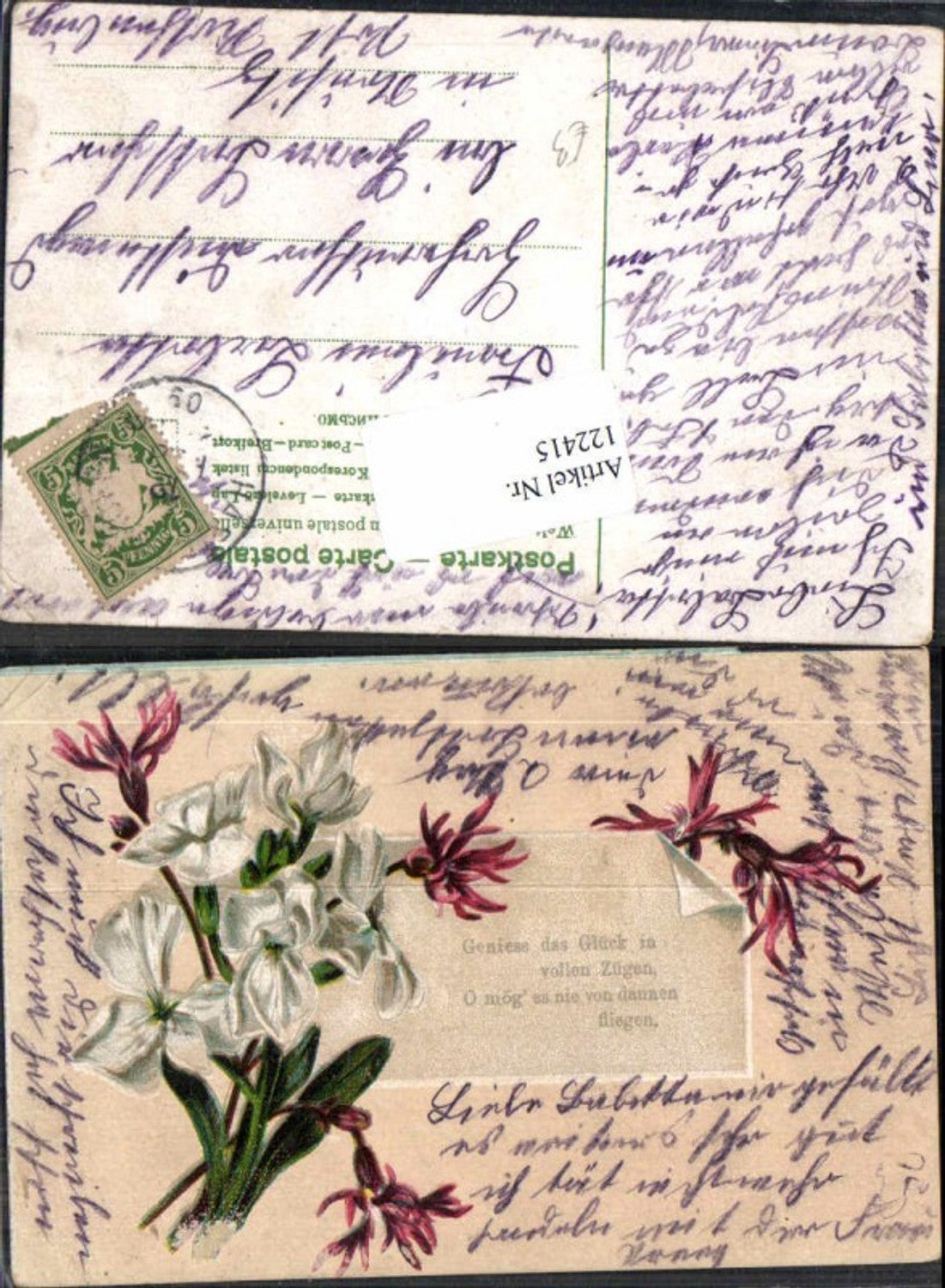 122415, Great AK Flowers