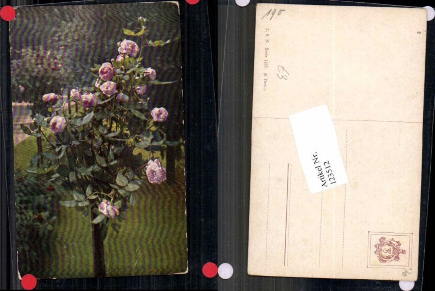 123512,Theo Stroefer 1437 T.S.N. Rosen Blumen