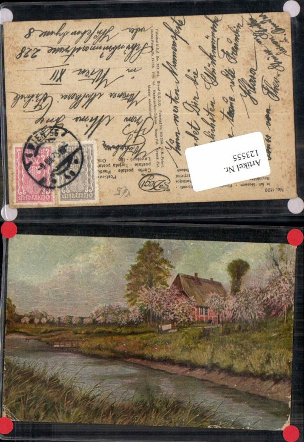 123555,Degi AK Ölgemälde 1120 Baumblüte