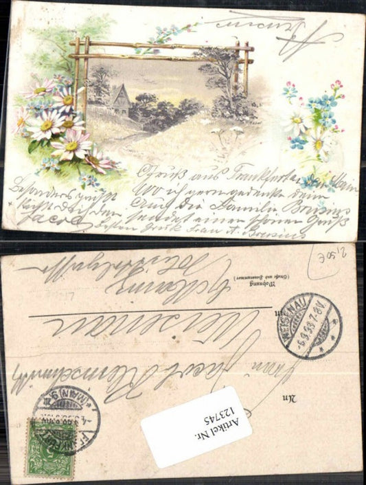 123745,Tolle Blumen Litho Haus Dorf Wiese 1900