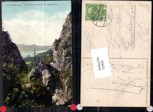 125835,Salzkammergut Kaltenbachwildnis bei Gmunden pub Brandt 648