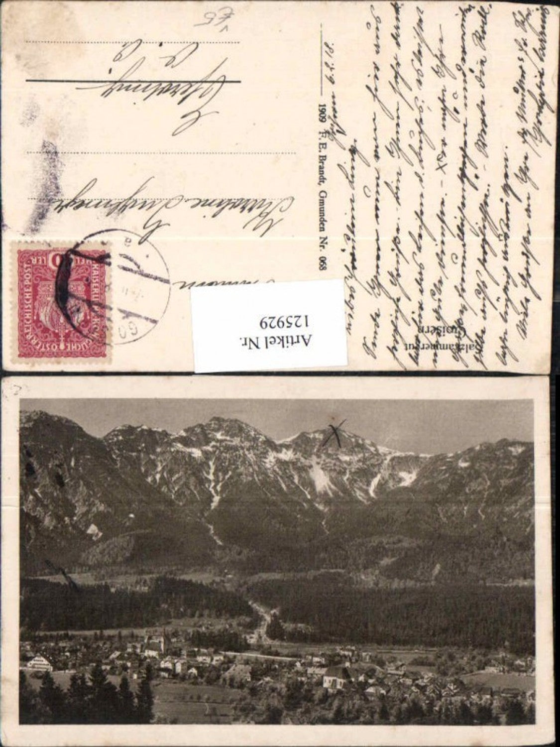 125929,Goisern im Salzkammergut Brandt 068