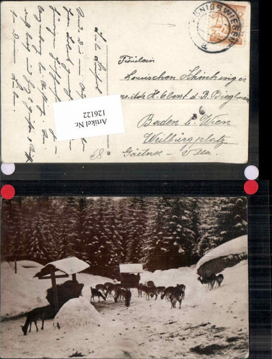 126122,Rehfütterung Wildfütterung bei Königswiesen bei Perg