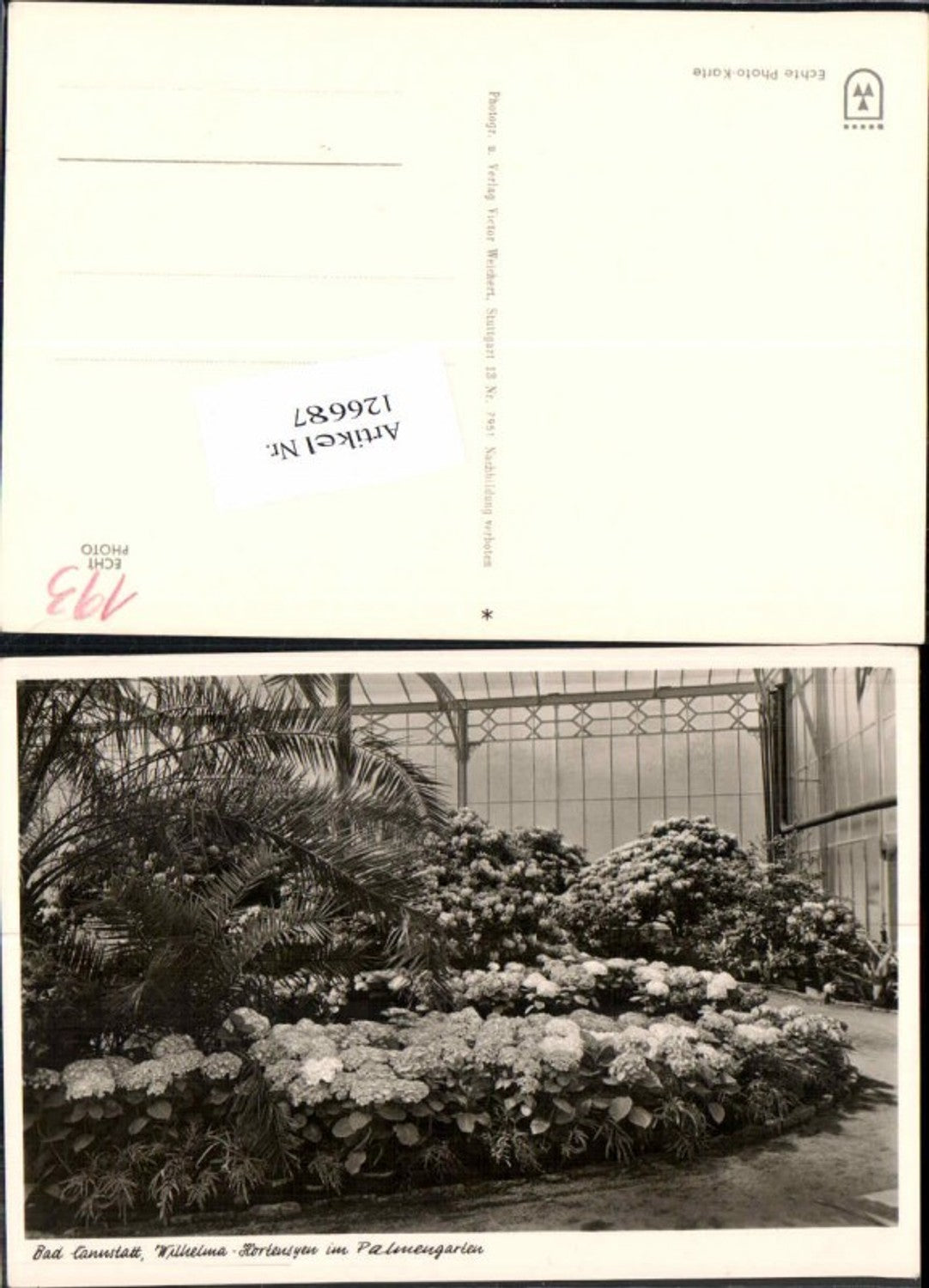 126687,Stuttgart Stadt Palmengarten  Cannstatt