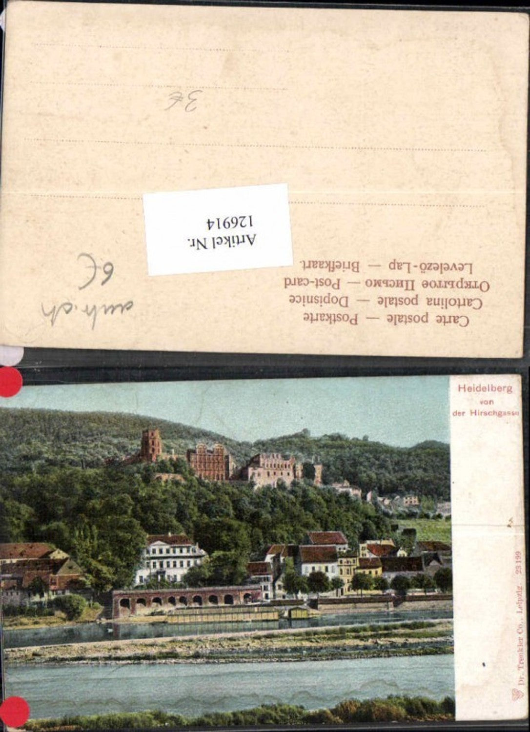 126914,Heidelberg von der Hirschgasse 1900