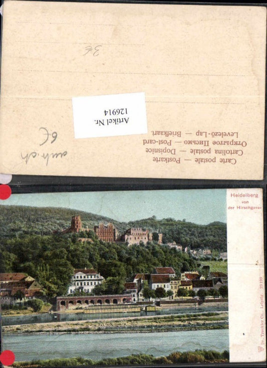 126914,Heidelberg von der Hirschgasse 1900