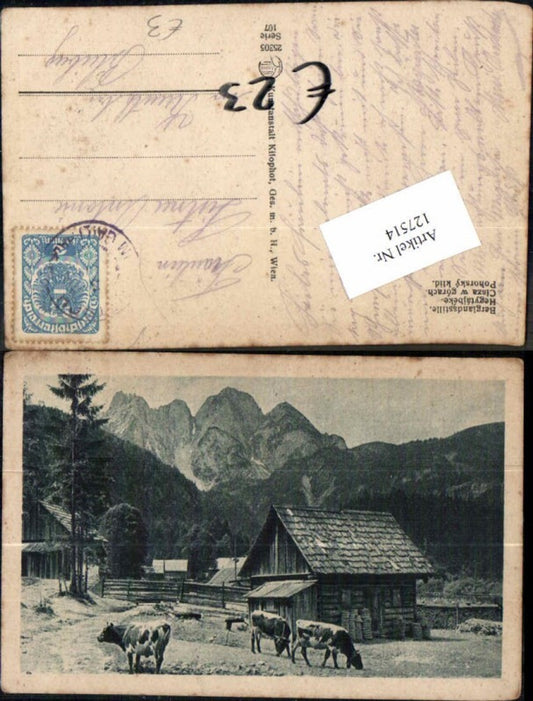 127514,Kühe in den Bergen Berglandsstille pub Kilophot