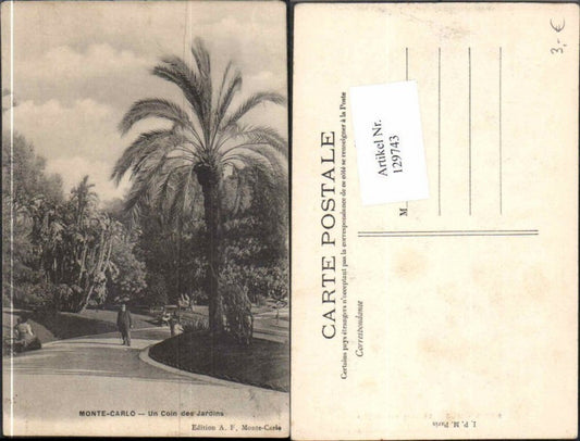 129743,Monte Carlo Un Coin des Jardins Palme Strassenansicht