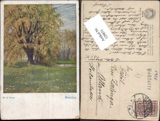 129871,Dt. Schulverein 1203 W.H. Braun Maientah Bäume