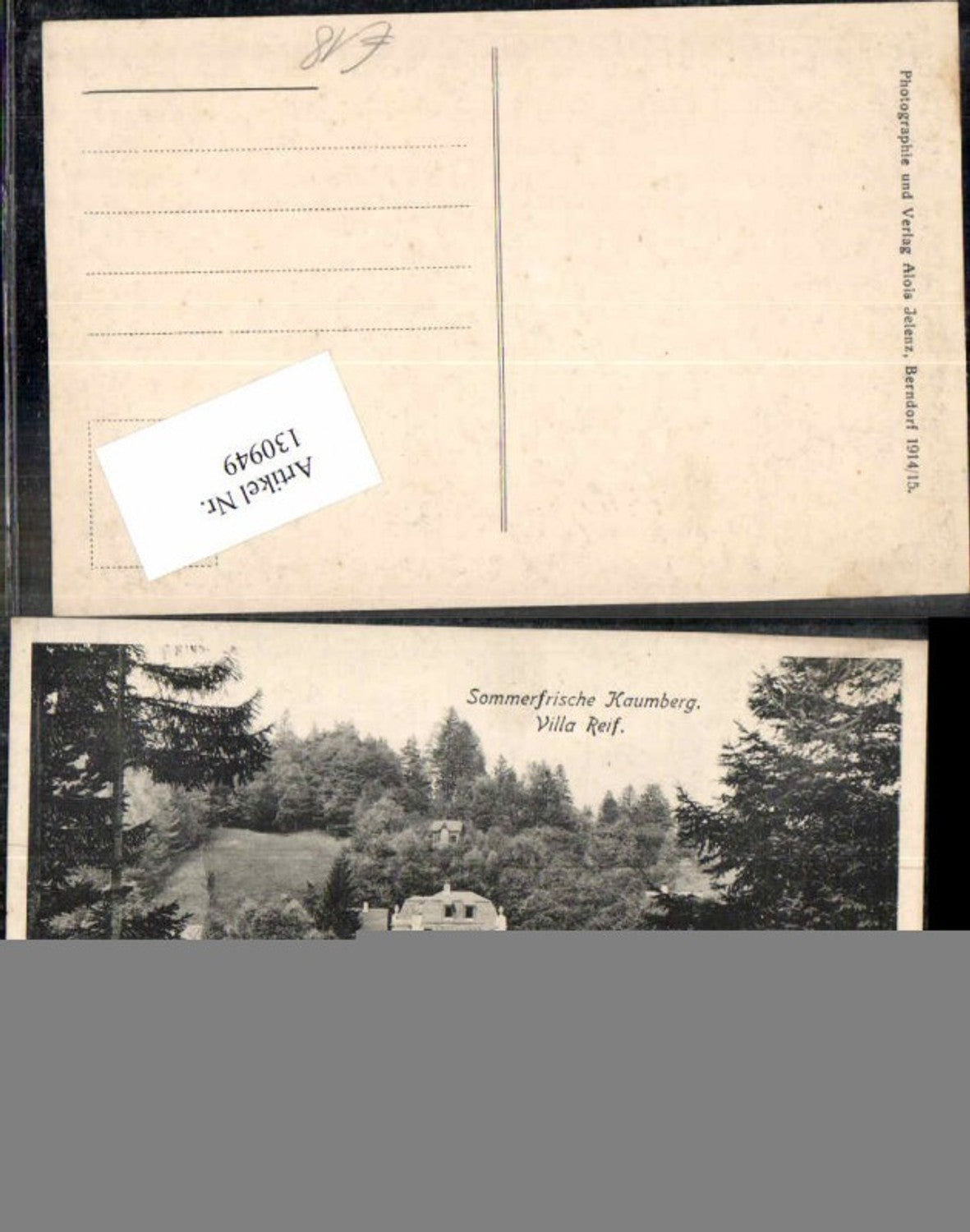 130949,Sommerfrische Kaumberg Villa Reif 1914