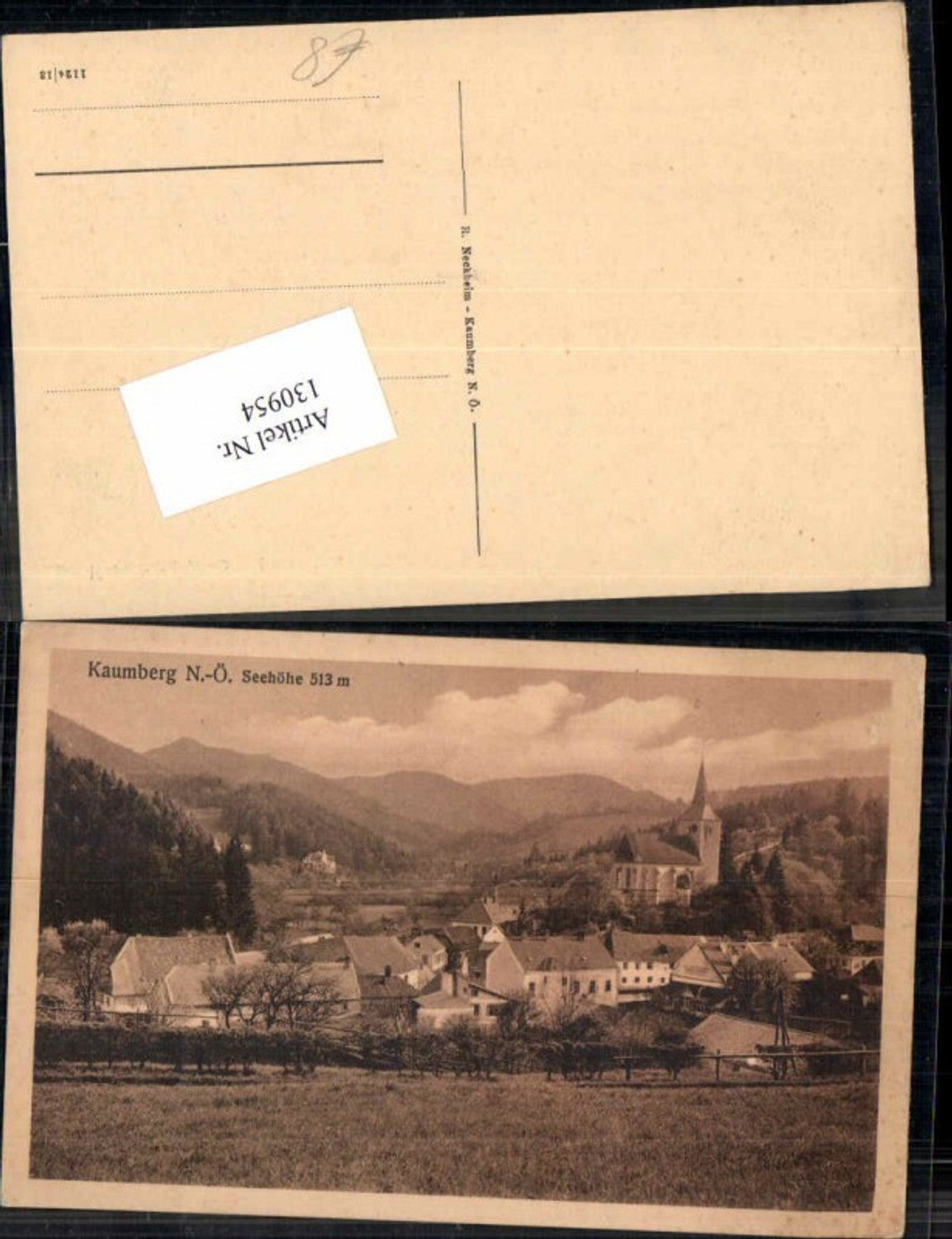 130954,Kaumberg Ortsansicht 1910