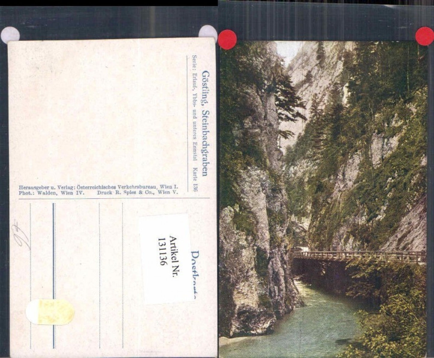 131136,Göstling a.d. Ybbs Steinbachgraben Noth