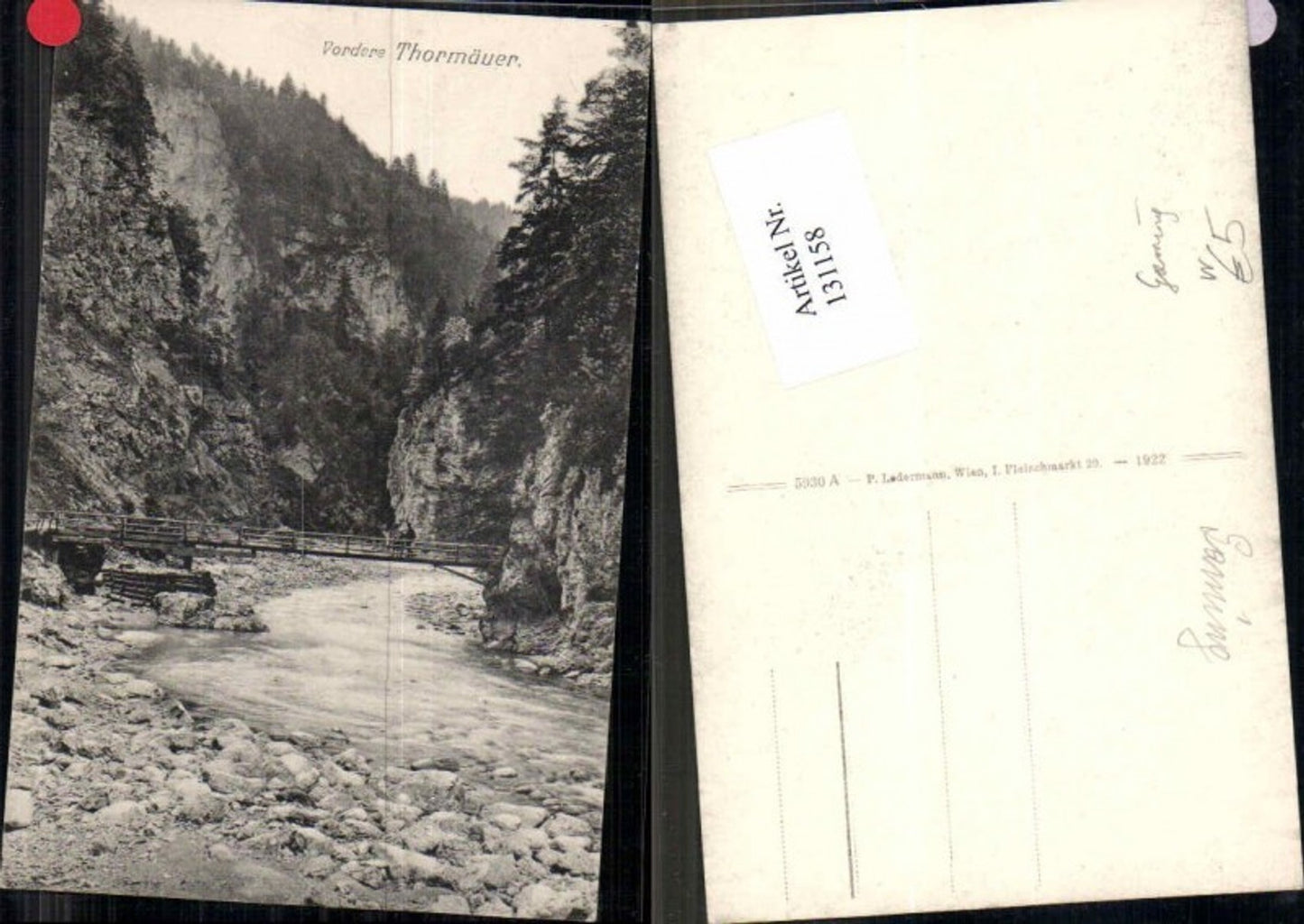 131158,Vordere Tormäuer bei Gaming Kienberg Ötschergräben