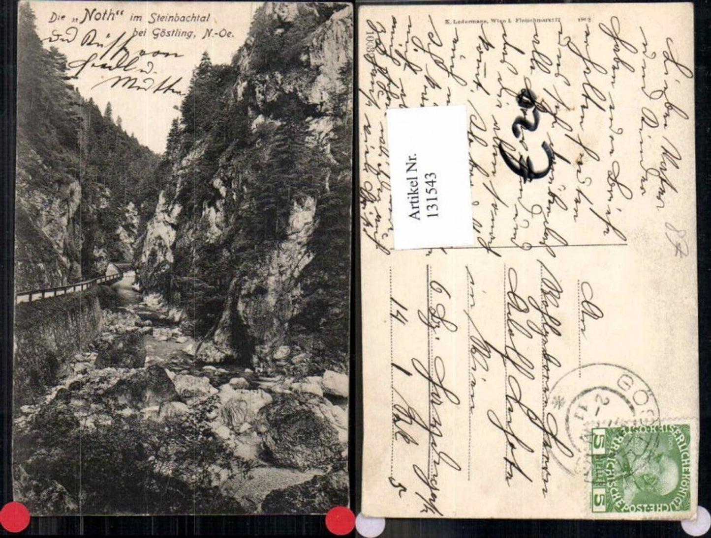 131543,Die Noth im Steinbachtal bei Göstling a.d. Ybbs