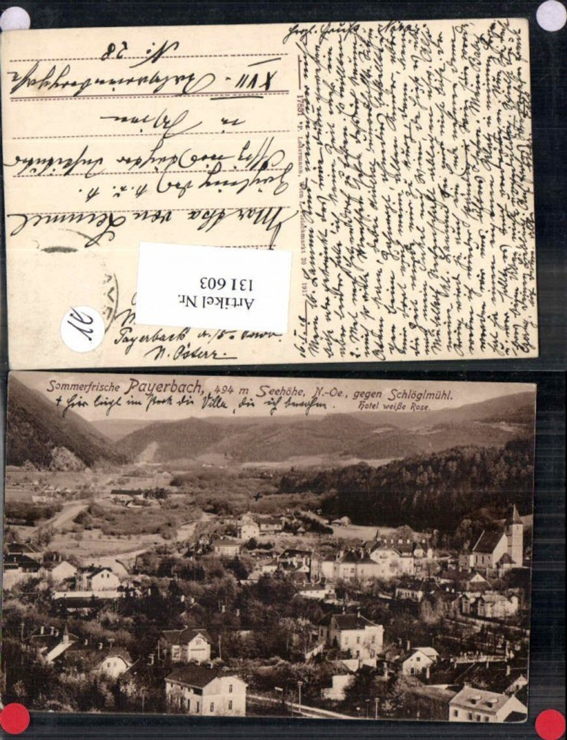 131603,Sommerfrische Payerbach a.d. Rax Schlöglmühl Hotel weisse Rose