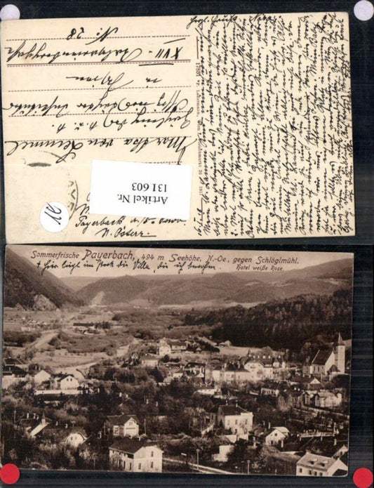 131603,Sommerfrische Payerbach a.d. Rax Schlöglmühl Hotel weisse Rose