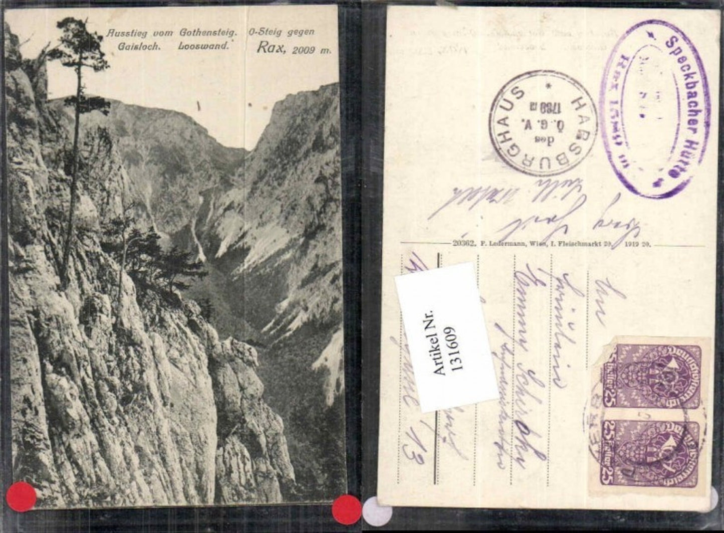 131609,Rax Reichenau Ausstieg vom Gothensteig Gaisloch