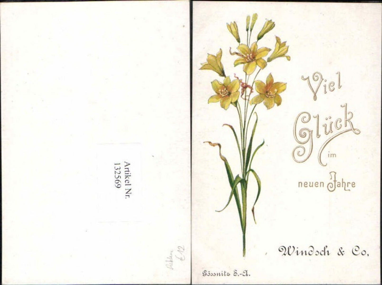 132569,Reklame Werbe AK Gössnitz Sachsen Windsch & Co.