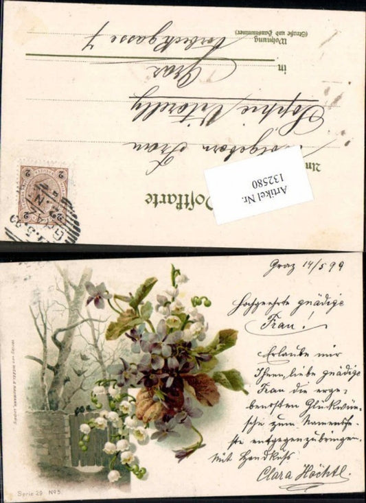 132580,Litho Blumen 1899 pub Wezel / Naumann Serie  29-5