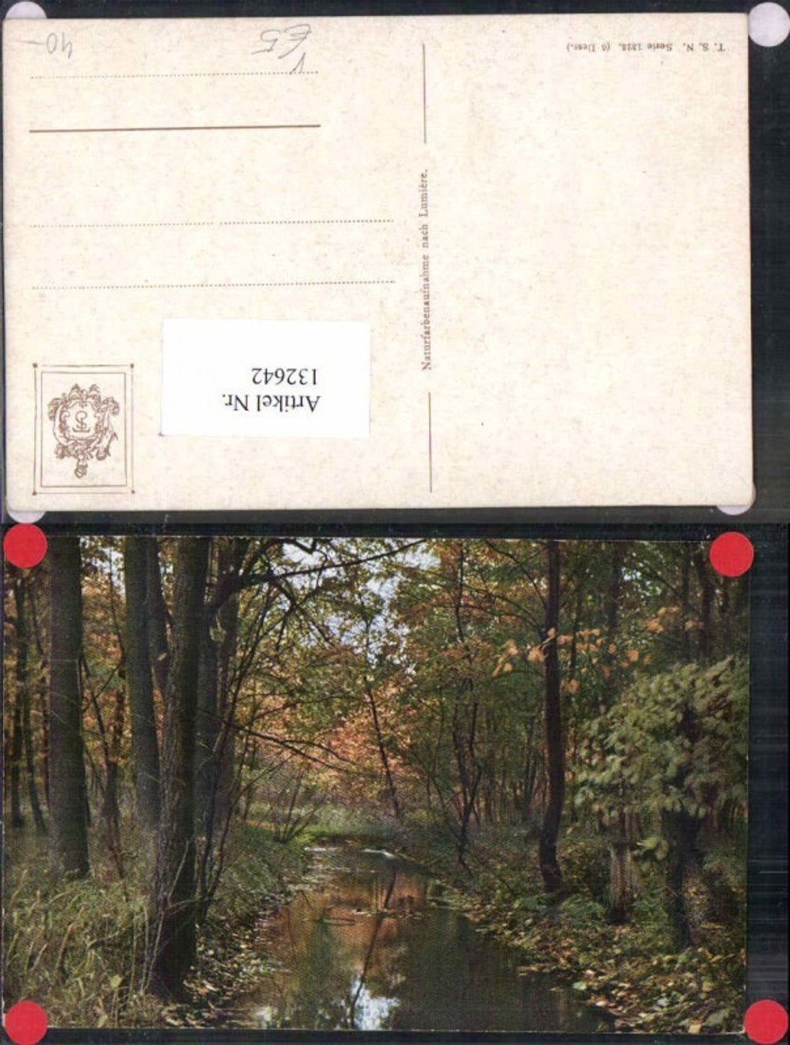 132642,Theo Stroefer 1323 Wald Bäume Bach