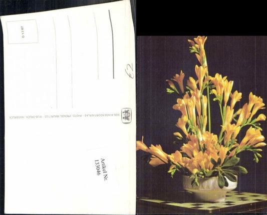 133046,SOS Kinderdorf 17-67 Blume