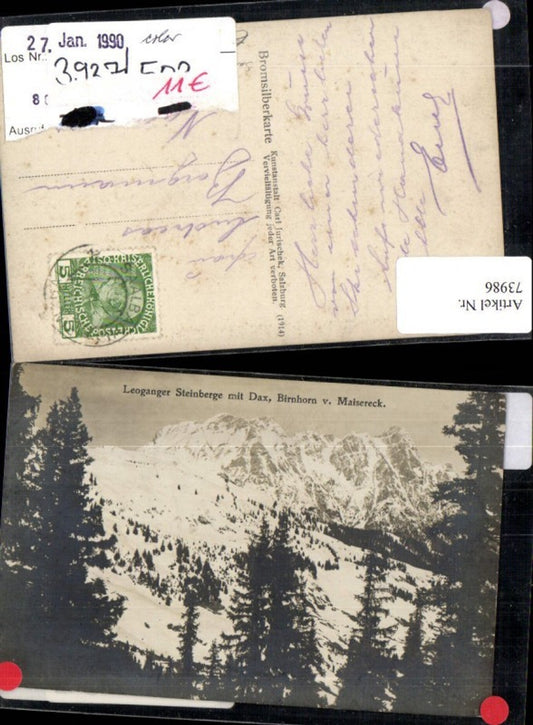 73986,Leoganger Steinberge mit Dax Birnhorn bei Saalbach