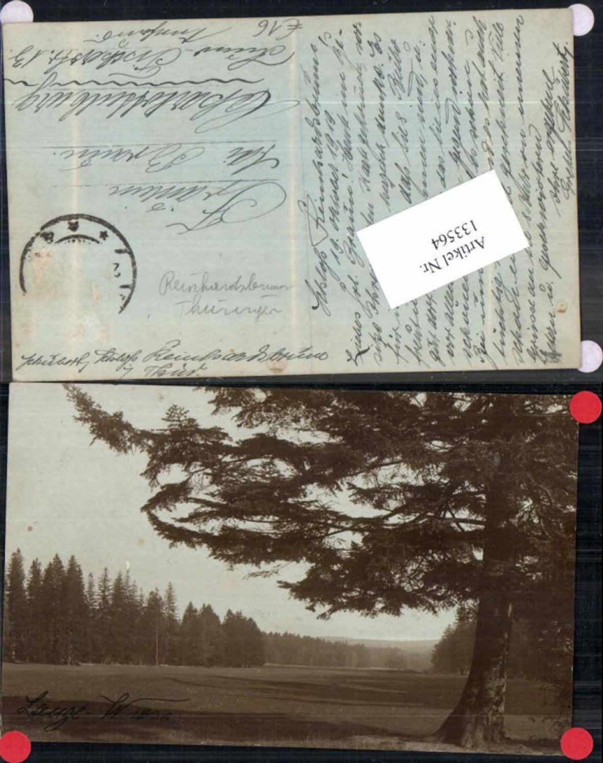 133564,FotoAK Lange Wiese bei Reinhardsbrunn Friedrichroda Gotha