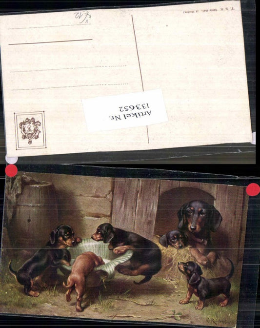 133652,Theo Stroefer 1541 Dackel Hund Welpen Hunde Hütte Tolle AK