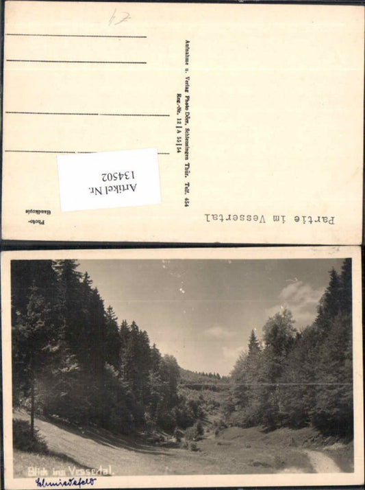 134502,Schmiedefeld Blick ins Vessertal Fotokarte