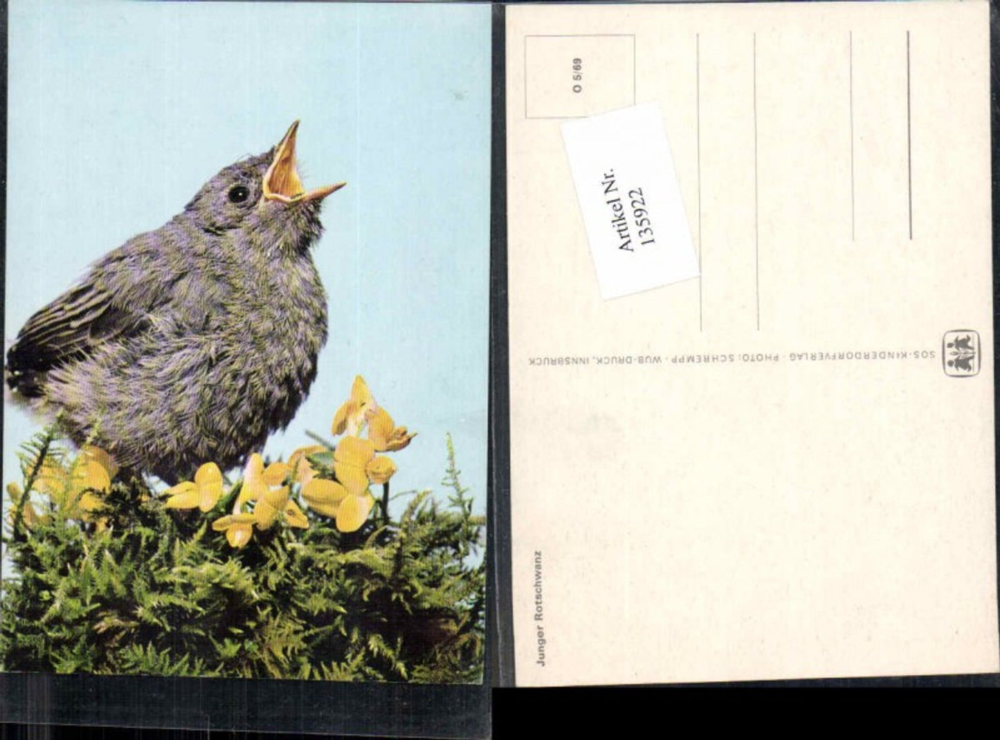 135922,SOS Kinderdorf O5/69 Rotschwanz Vogel