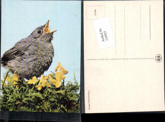 135922,SOS Kinderdorf O5/69 Rotschwanz Vogel